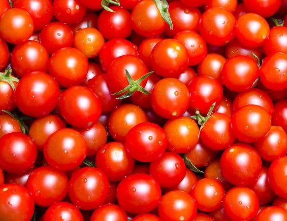 Tomates cerises 1kg